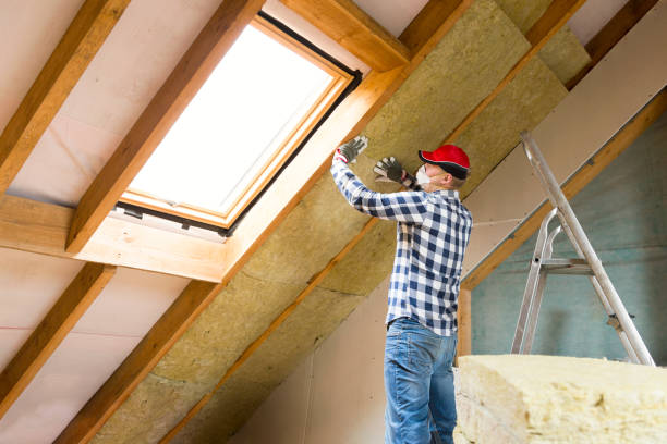 Eco-Friendly Insulation Solutions in Bull Valley, IL