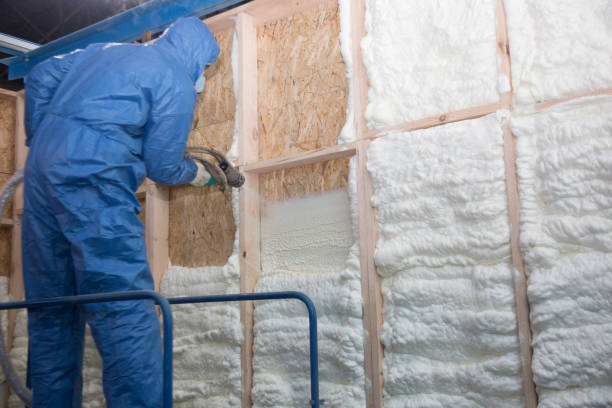 Professional Insulation Services in Bull Valley, IL